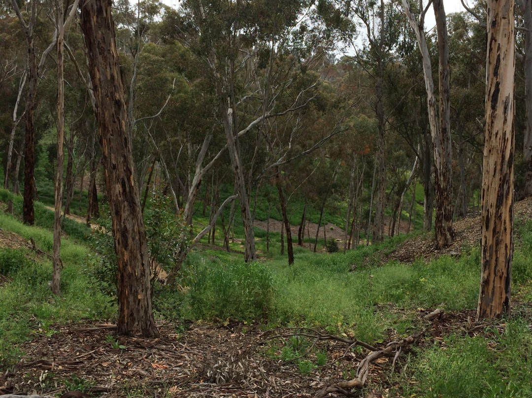 Hosp Grove Trails-卡尔斯巴德必去景点