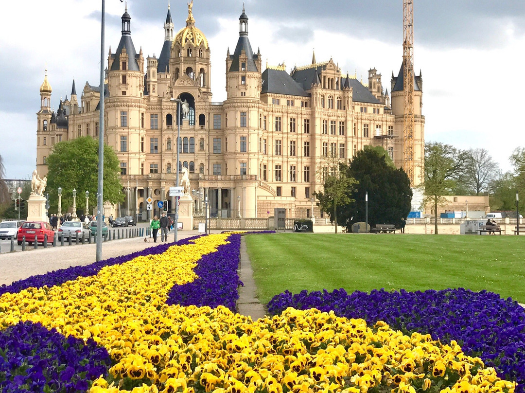 Friends of Dave Tours