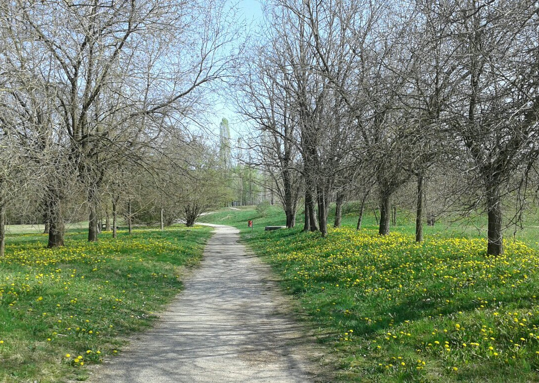 Parco del Cormor-乌迪内必去景点