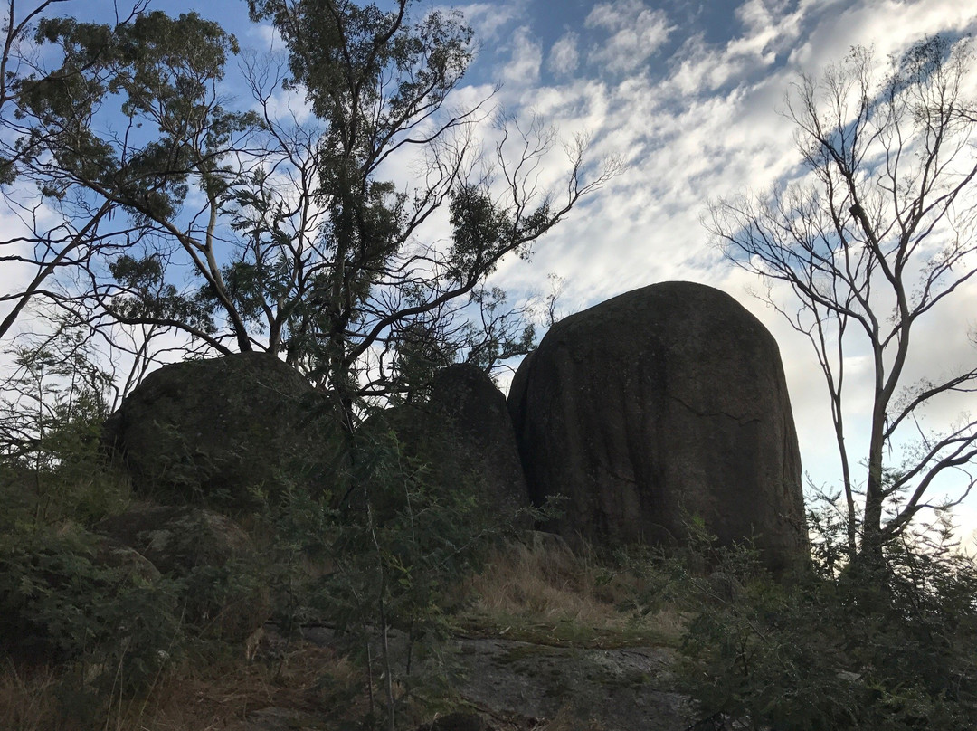 Blackhill Reserve-凯尼顿必去景点