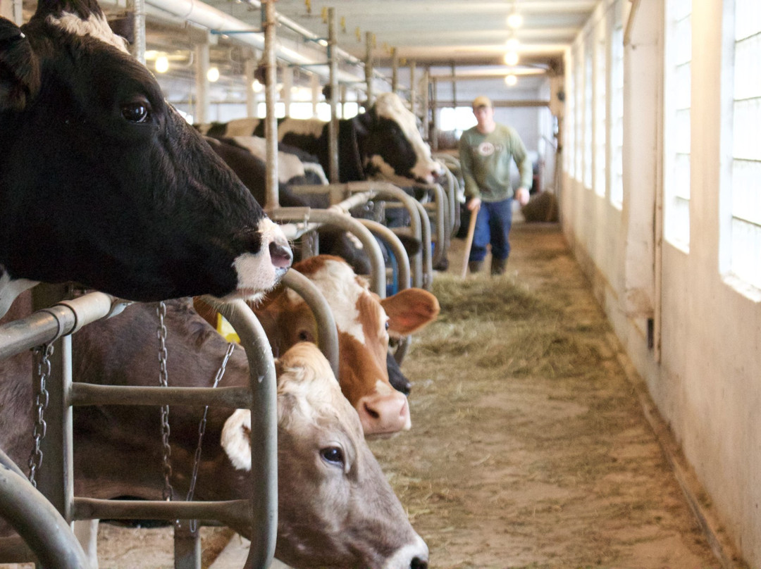 Brookby Farm-Dover Plains必去景点