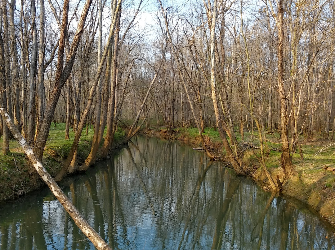 Hays Nature Preserve-亨茨维尔必去景点
