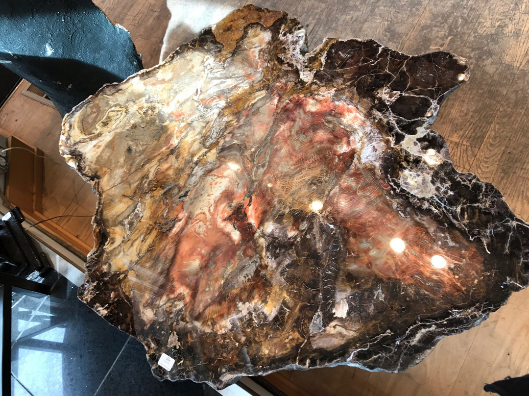 Wild By Nature Gallery-杰克逊必去景点