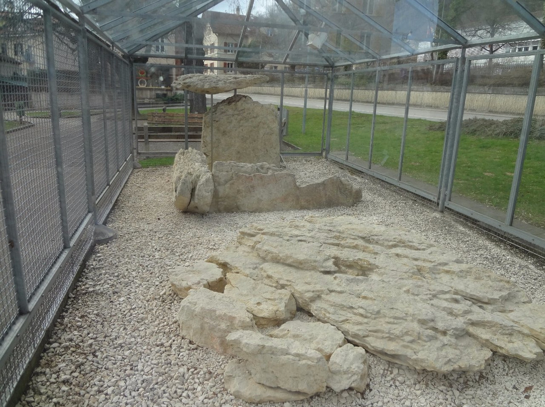 Metzerlen-Mariastein旅游景点-Dolmen