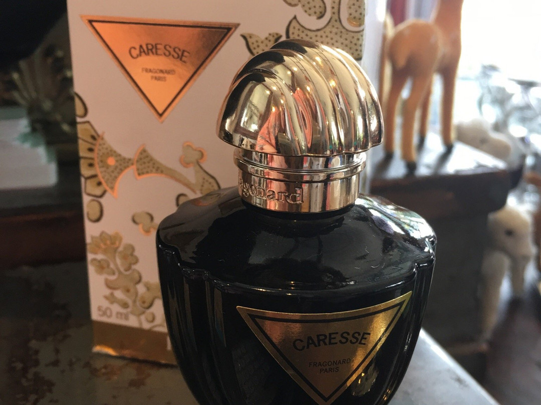 Quirky and The Jakster Sassafras-Sassafras必去景点