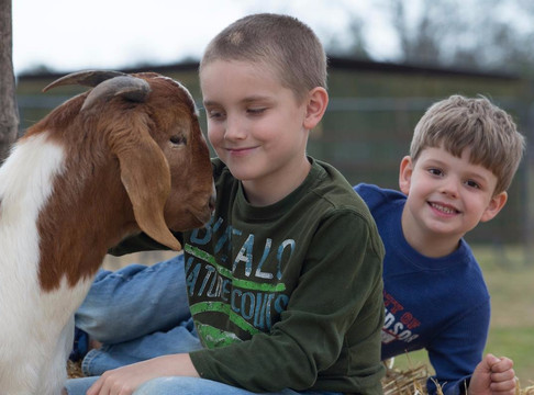 Full Circle Farm Sanctuary-Warm Springs必去景点
