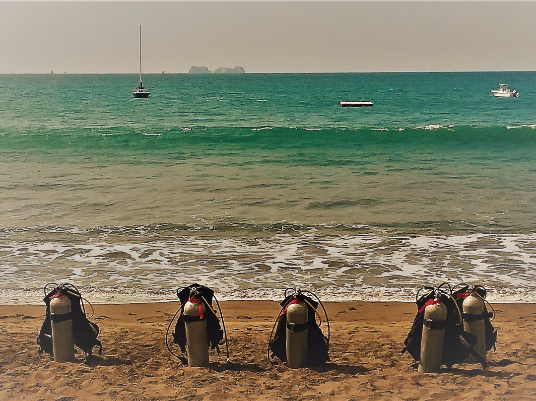 One Love Ocean Divers景点图片