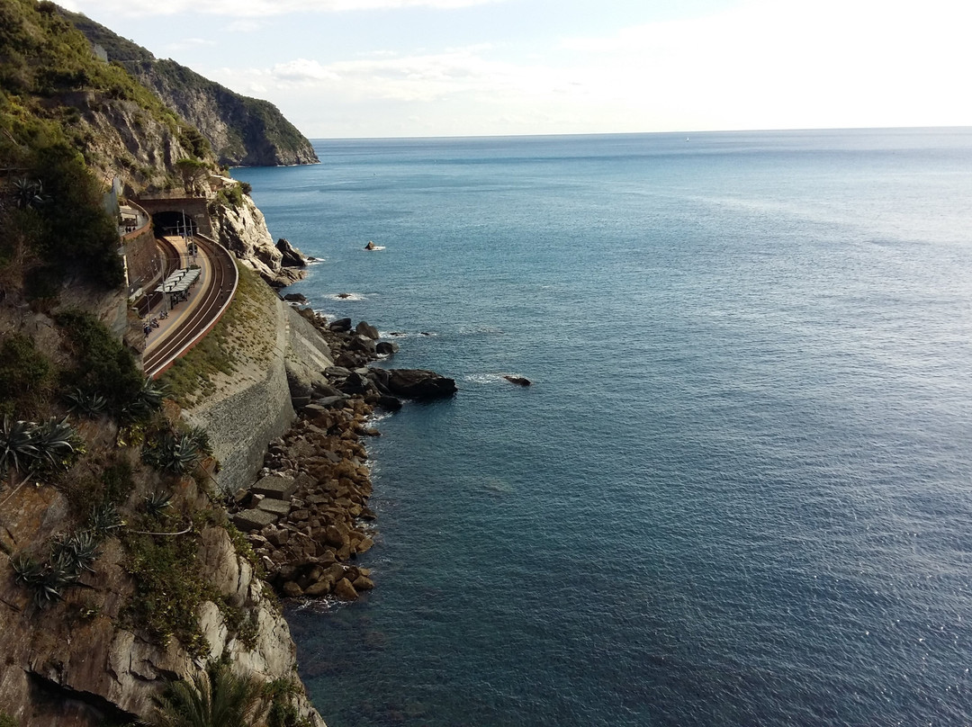 Cinque Terre Walk and Drink景点图片