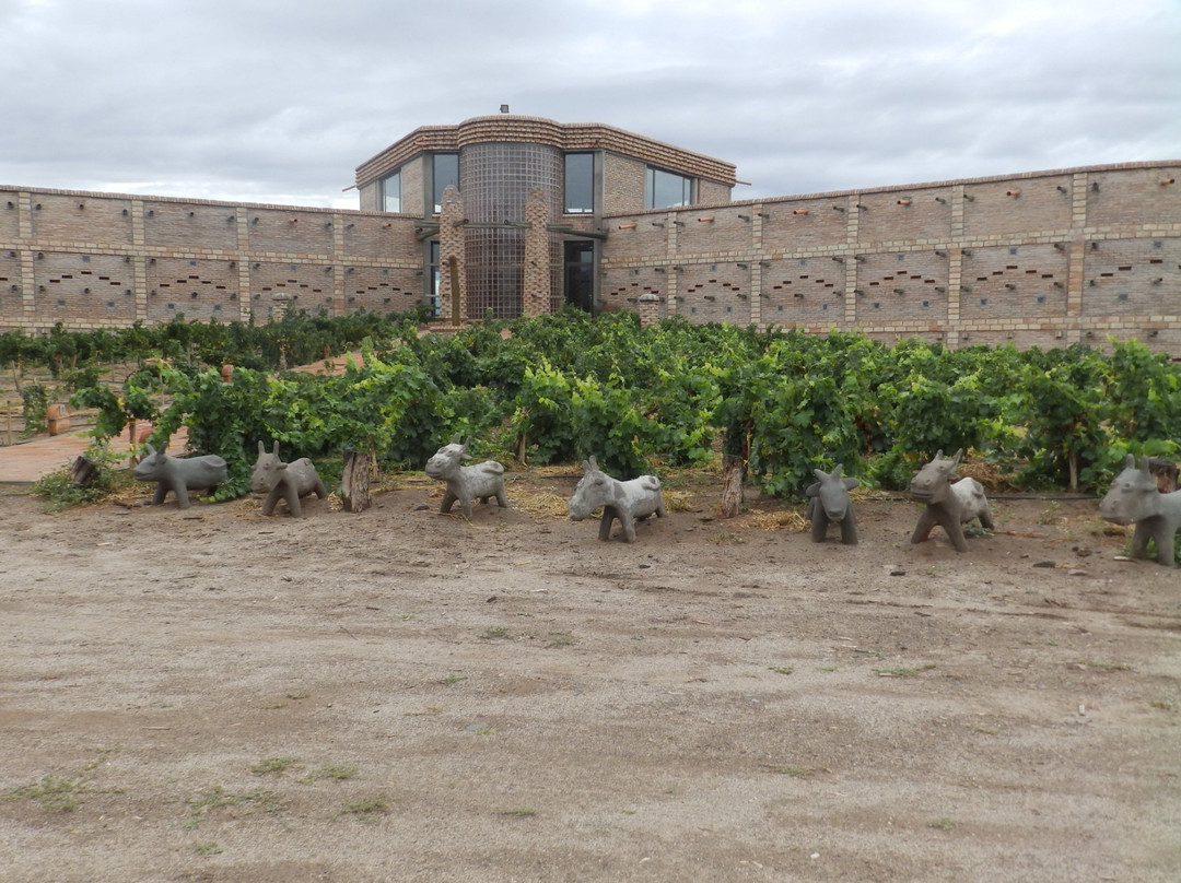 Las Arcas de Tolombon Vinedos & Bodega景点图片