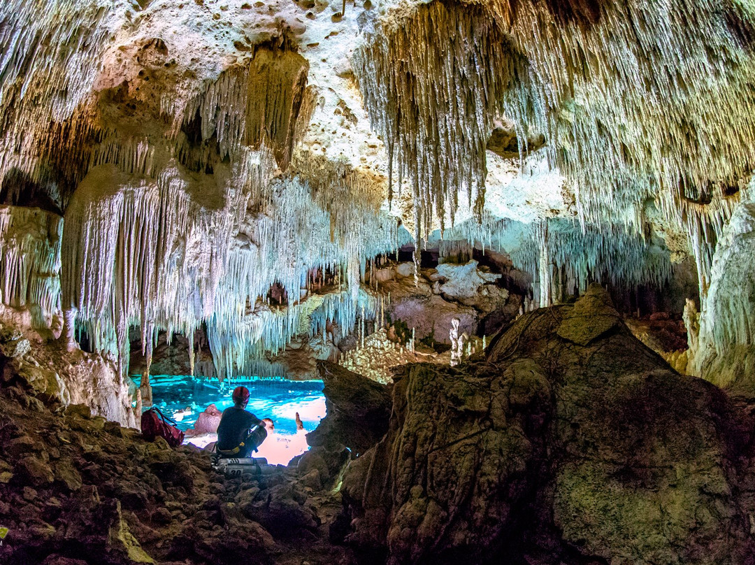Diving Mexico-阿范特拉斯港必去景点