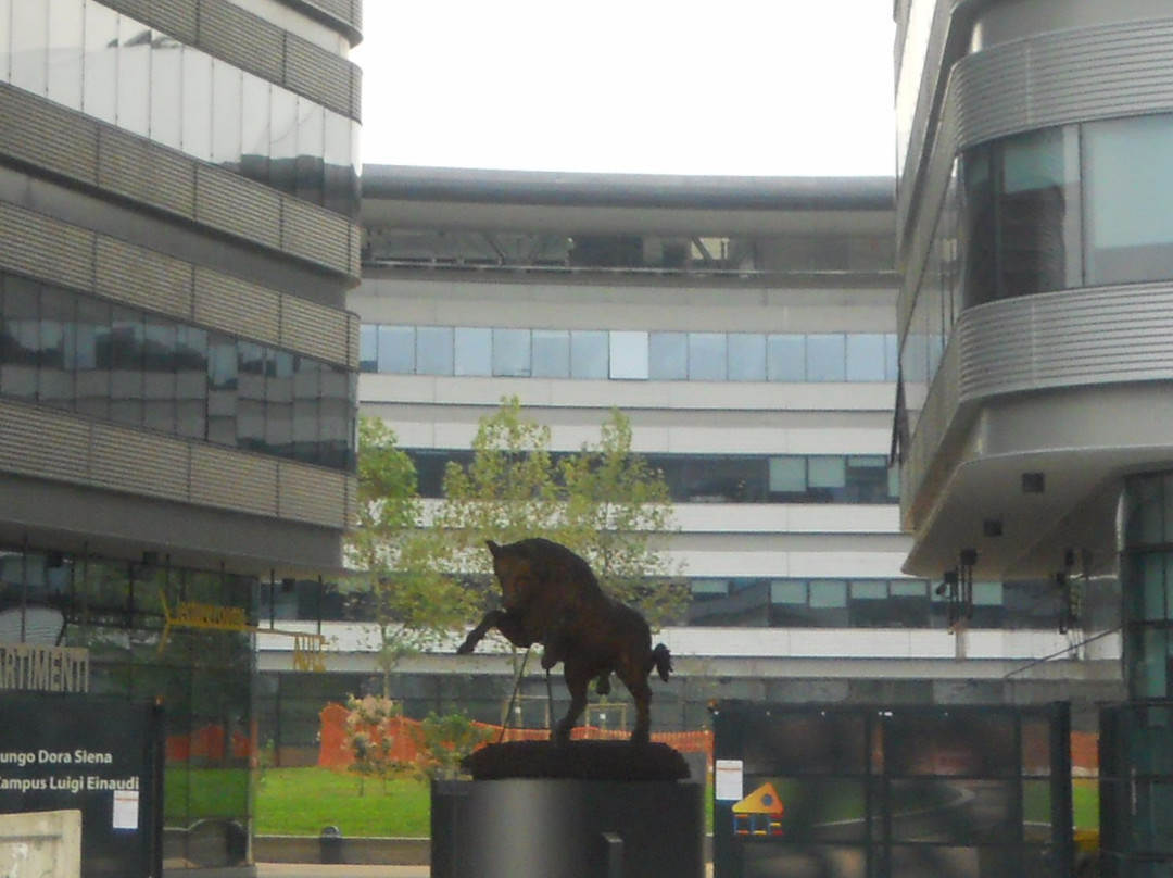 Campus Luigi Einaudi景点图片