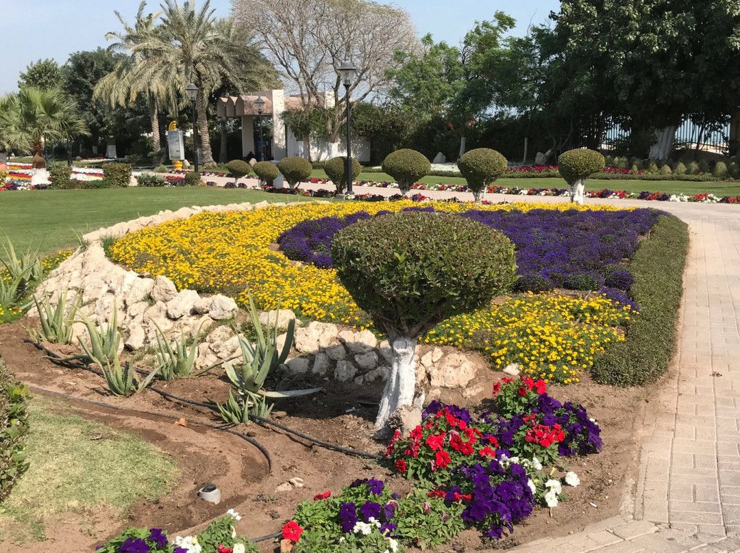 Al Wakrah Park-Al Wakrah必去景点