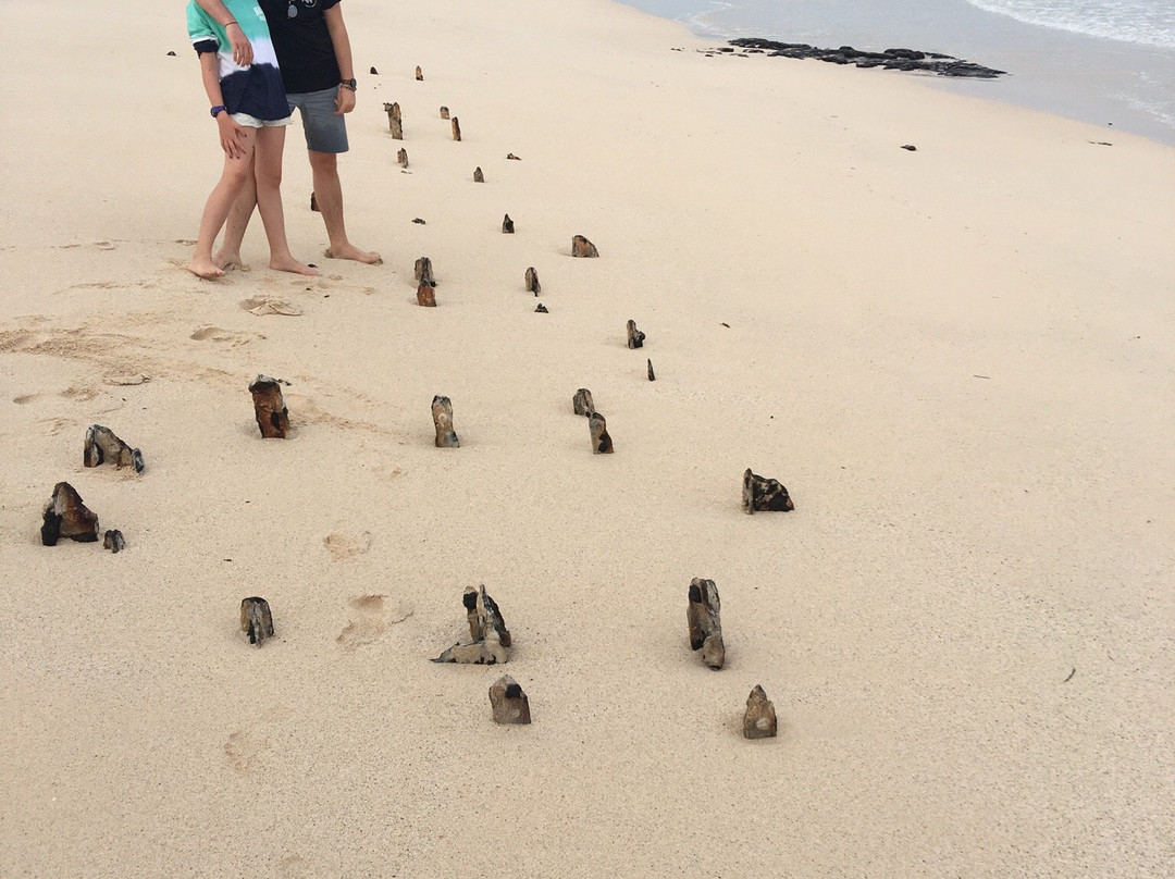 Galapagos Real Voyage-皮钦查省 圣安东尼奥镇必去景点