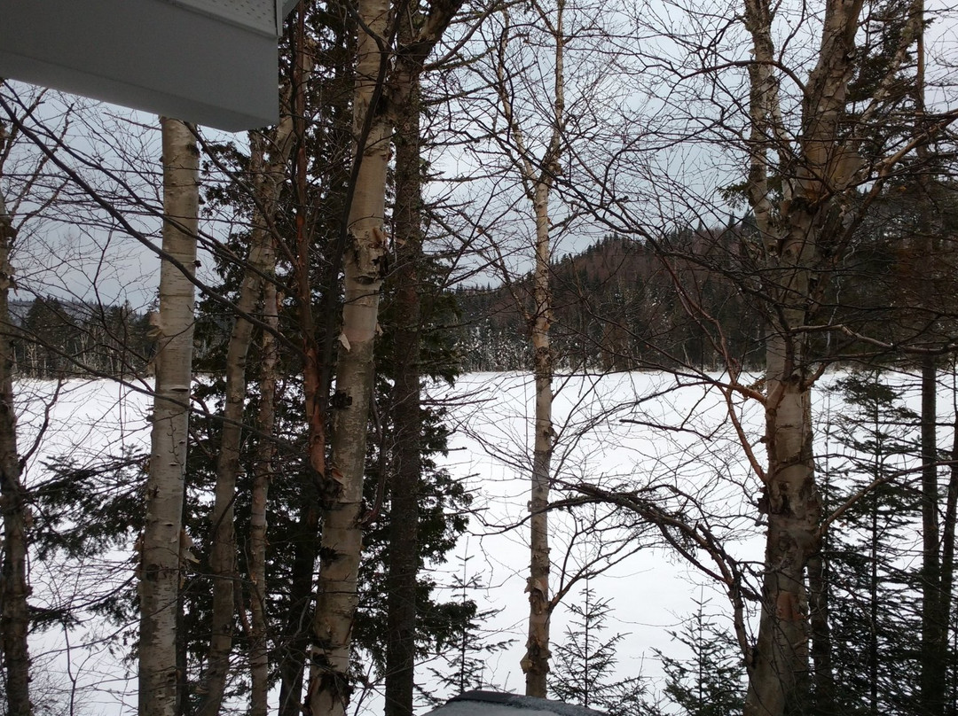 Pourvoirie Domaine Bazinet-Sainte-Emelie-de-L'Energie必去景点