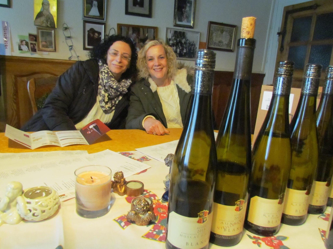Domaine Paul Blanck景点图片