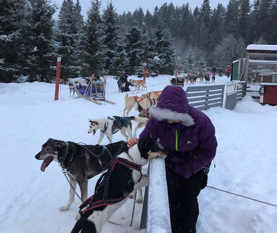 Vuokatti Safaris-Vuokatti必去景点