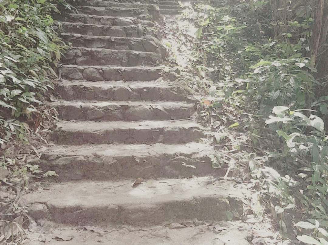 Ton Pariwat Waterfall-攀牙必去景点