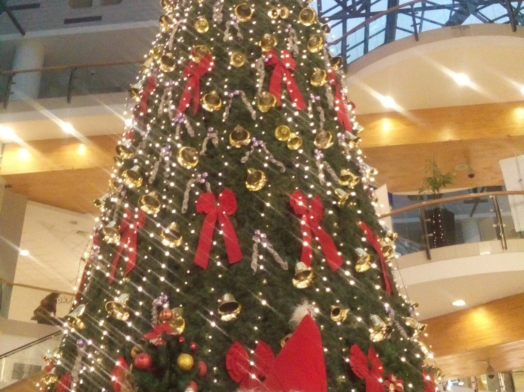 Mall Plaza de Los Rios-瓦尔迪维亚必去景点