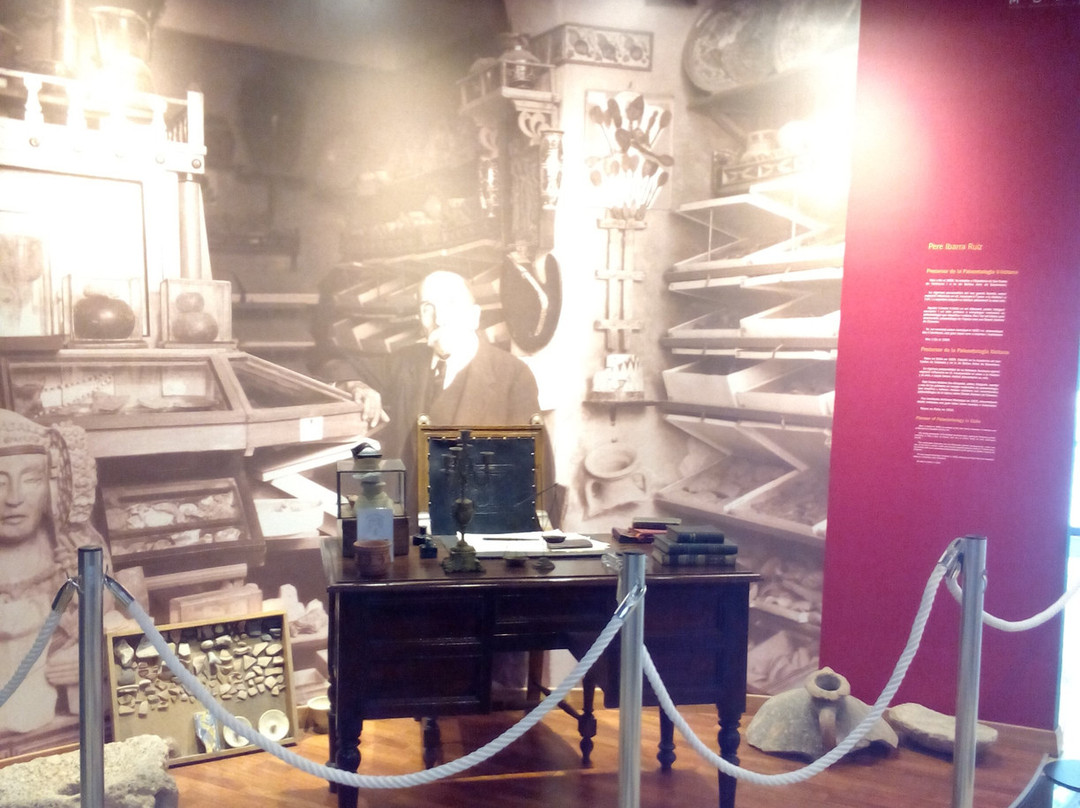 Museo Paleontologico de Elche景点图片