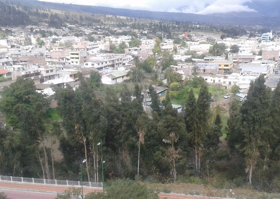 Colina de Luishi景点图片