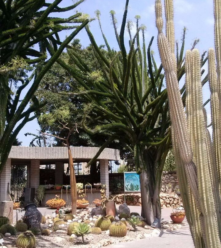 Gan HaKaktusim-霍隆必去景点