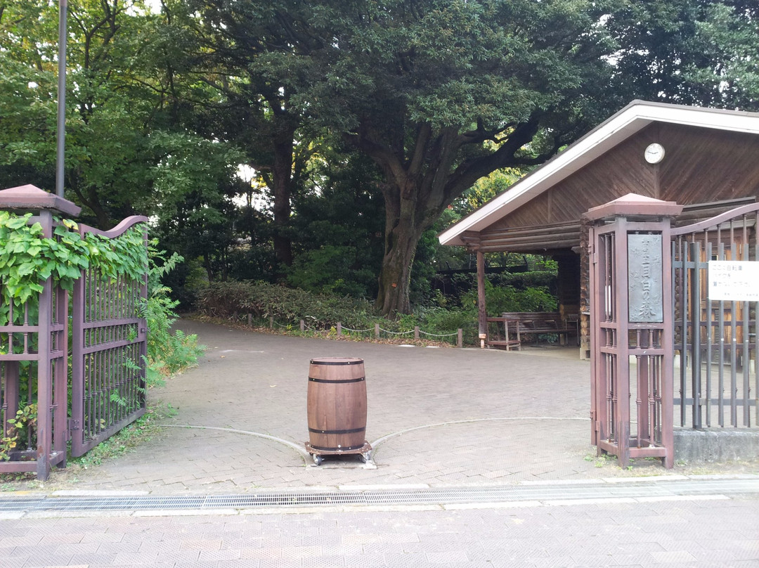 Mejiro no Mori-Mejiro必去景点