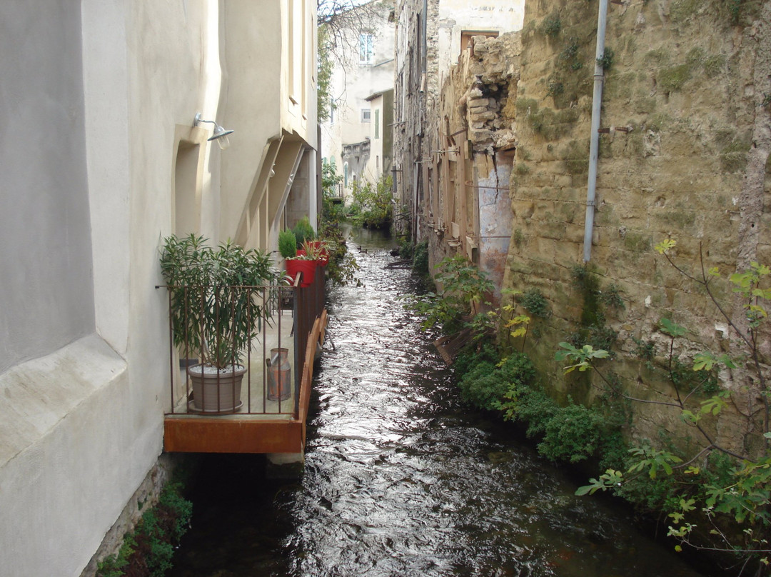Marché à la Brocante景点图片