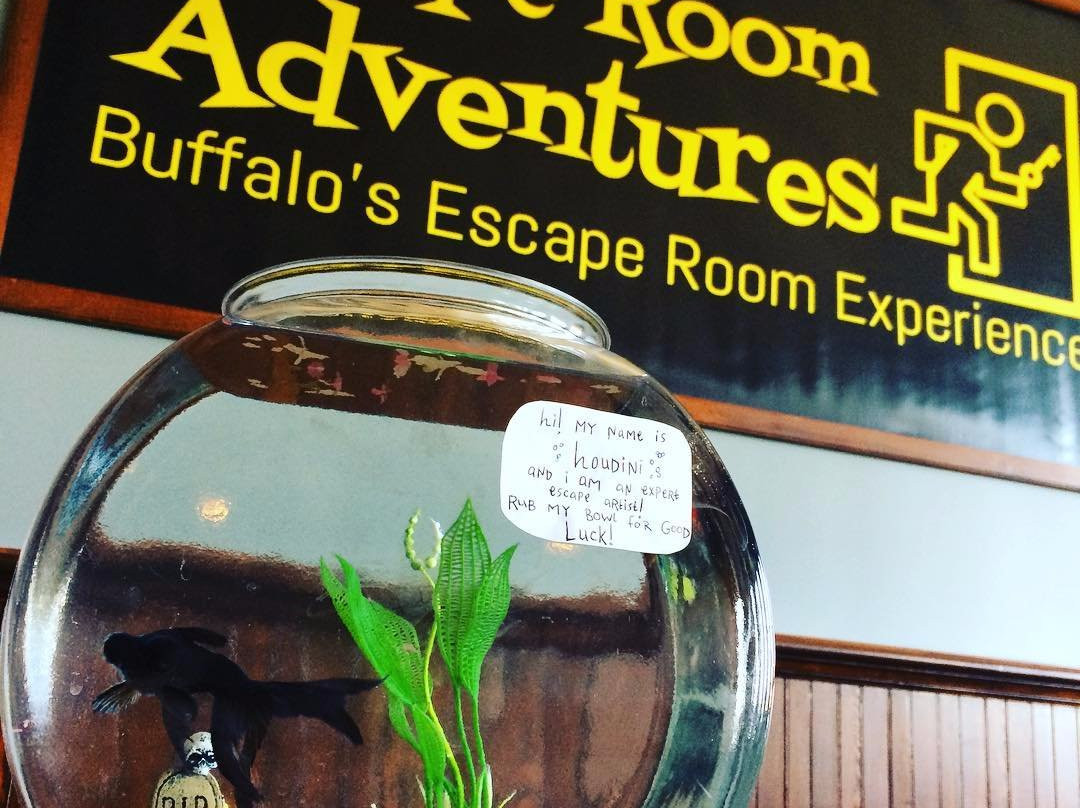 Escape Room Adventures景点图片