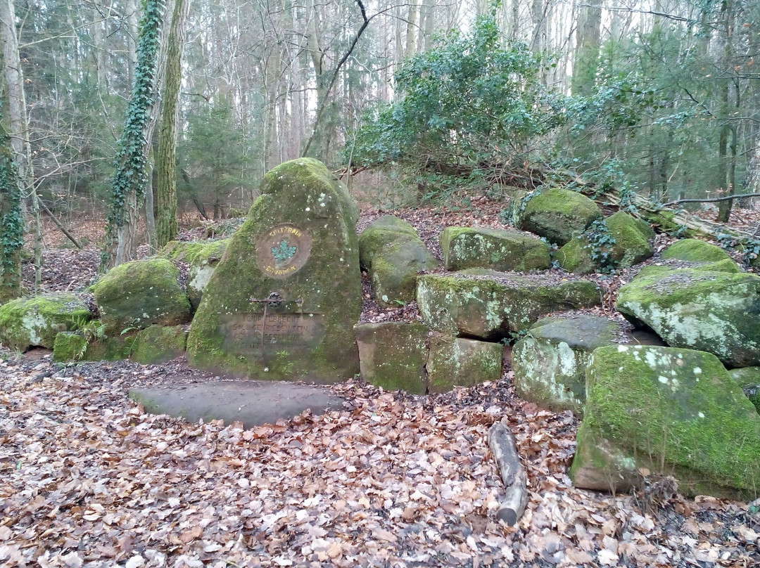 Wildpark Betzenberg景点图片