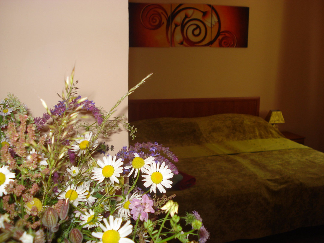 Horvatzsidany酒店住宿-Napvirag House