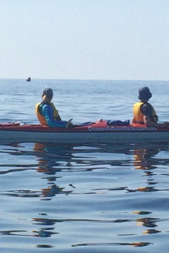 Ocean Adventure Sea Kayaking景点图片