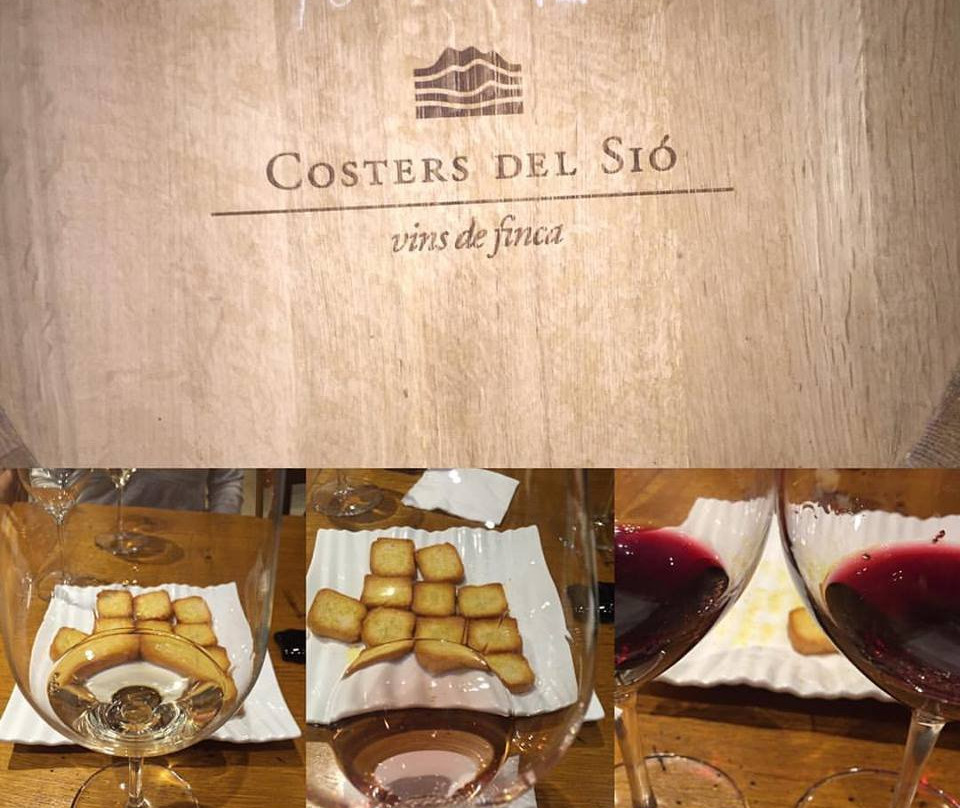 Bodega Costers del Sio景点图片