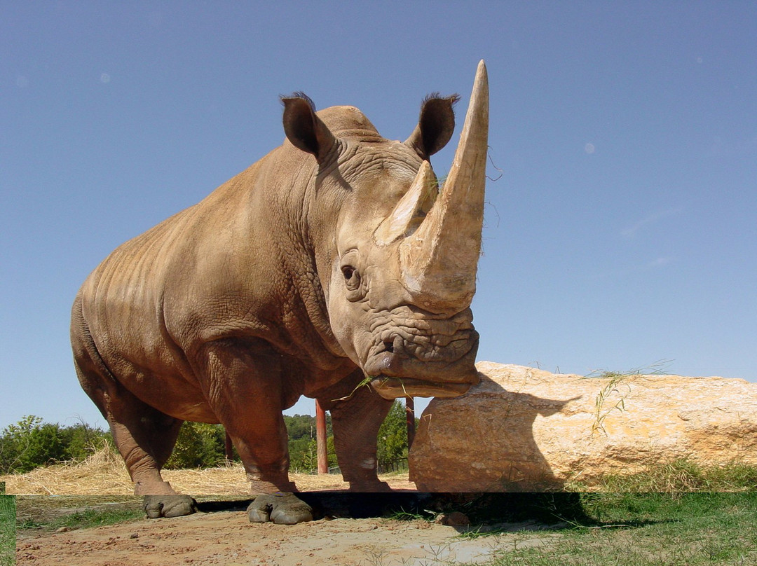 Hollywild Animal Park景点图片