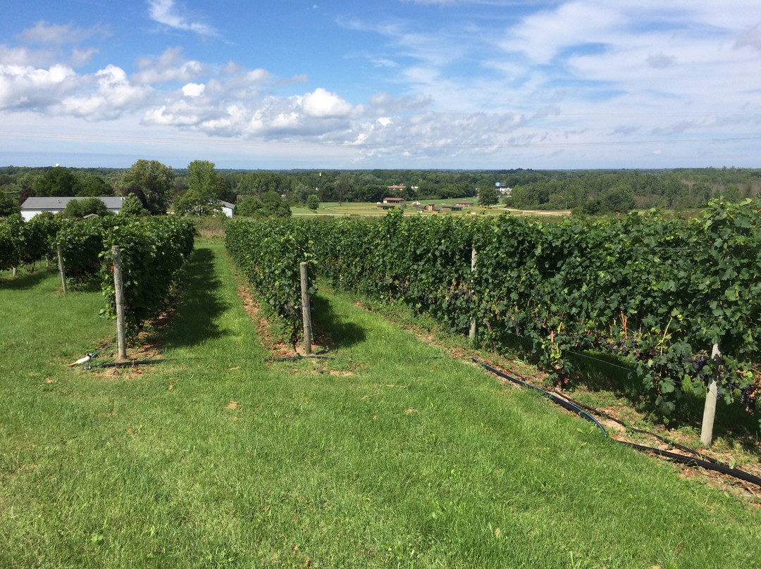 Contessa Wine Cellars Tasting Room-Coloma必去景点