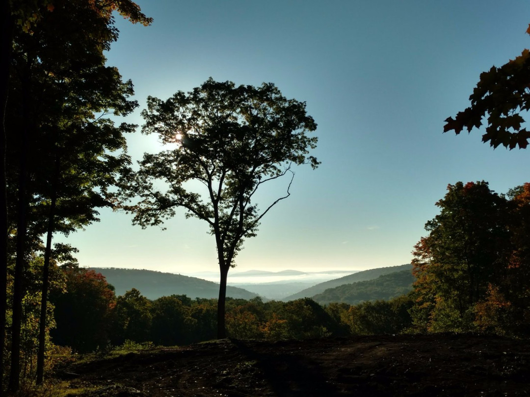 The Crown Maple Estate at Madava Farms-Dover Plains必去景点