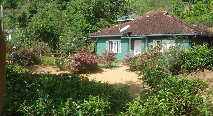Forest Cyniciam Holiday Bungalow