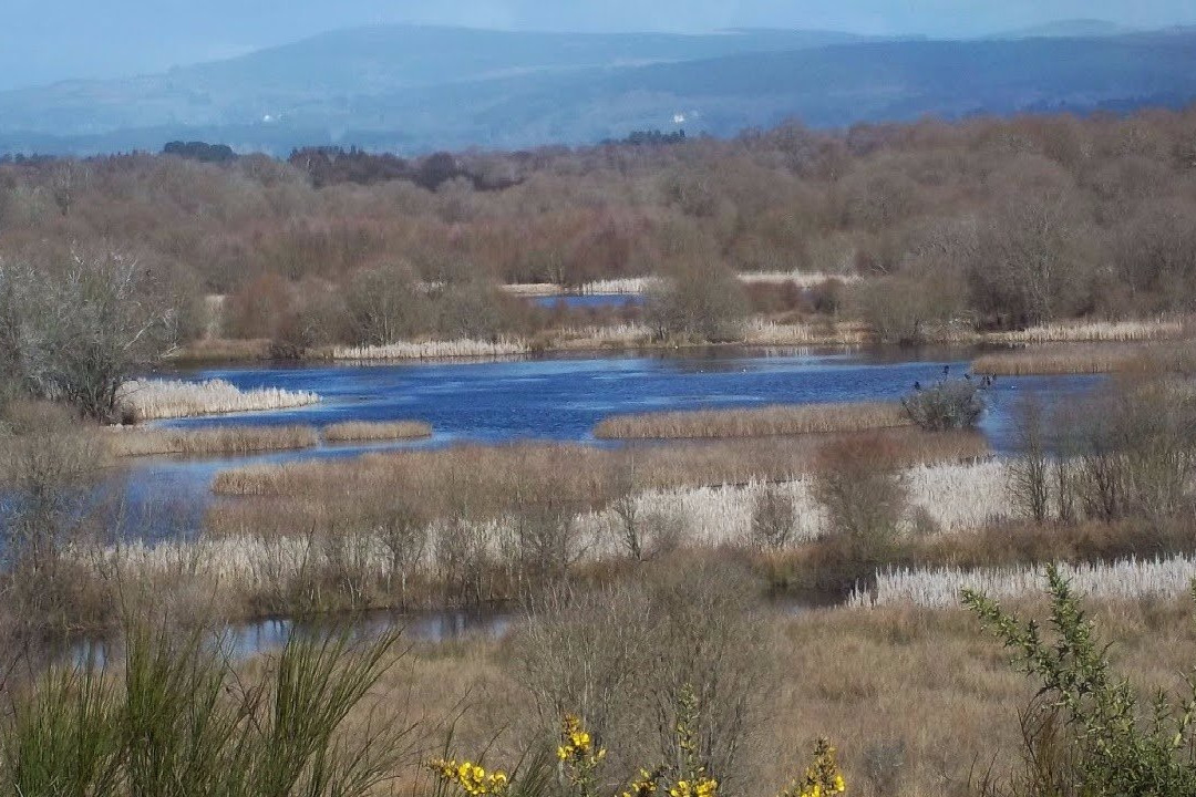 Laguna de Cospeito景点图片