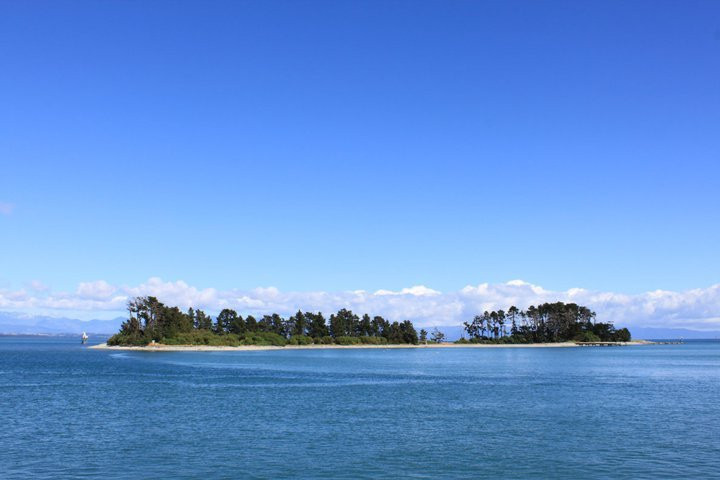 Tasman Great Taste Trail景点图片