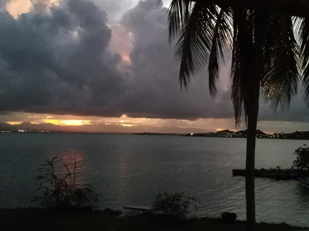 Les Residences Yucca主图