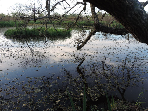 Acassuso旅游攻略图片