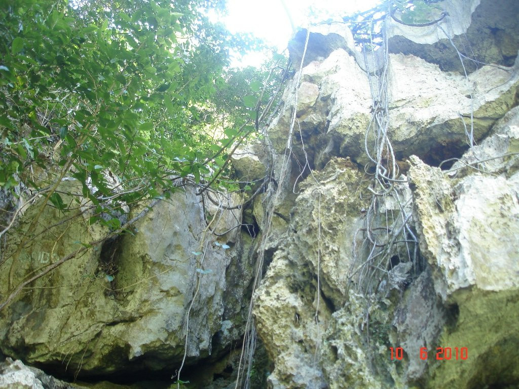 Gruta de Ubajara景点图片