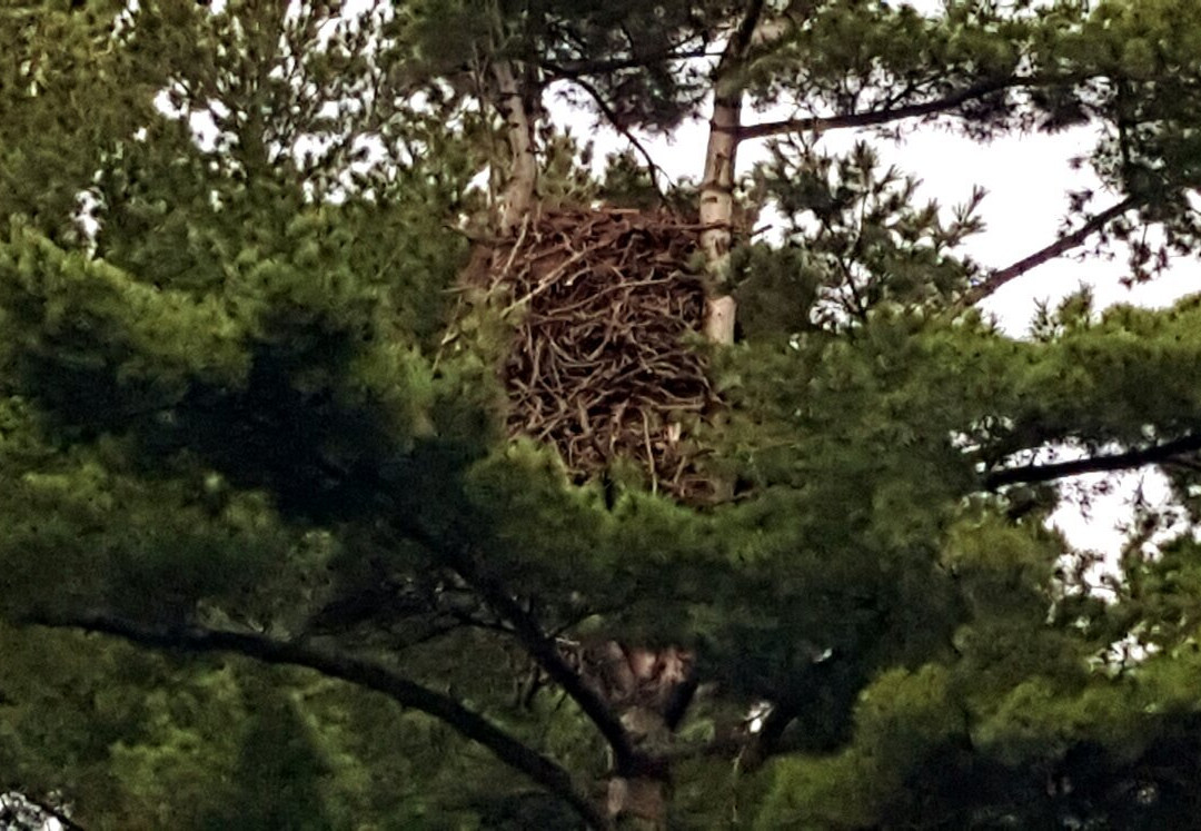 Wisconsin River Cruises-Rhinelander必去景点