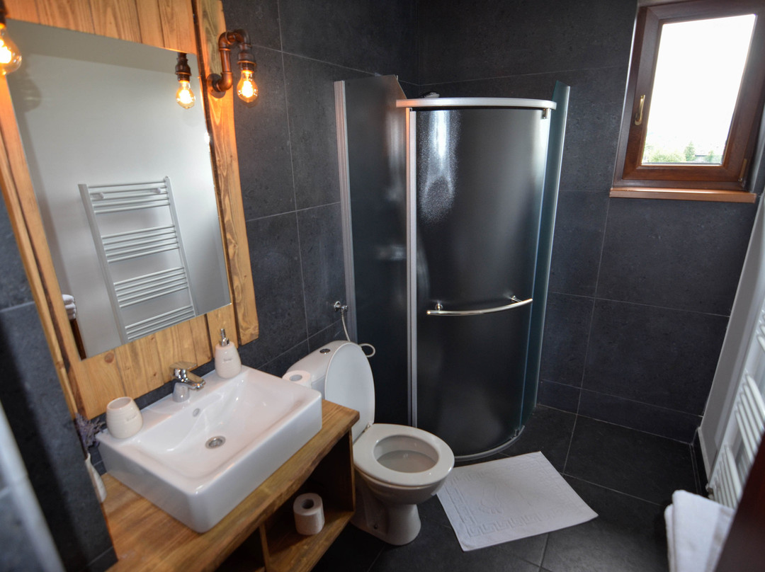 Pensiunea Banffy主图