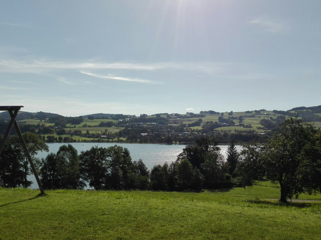 Serner beim See主图