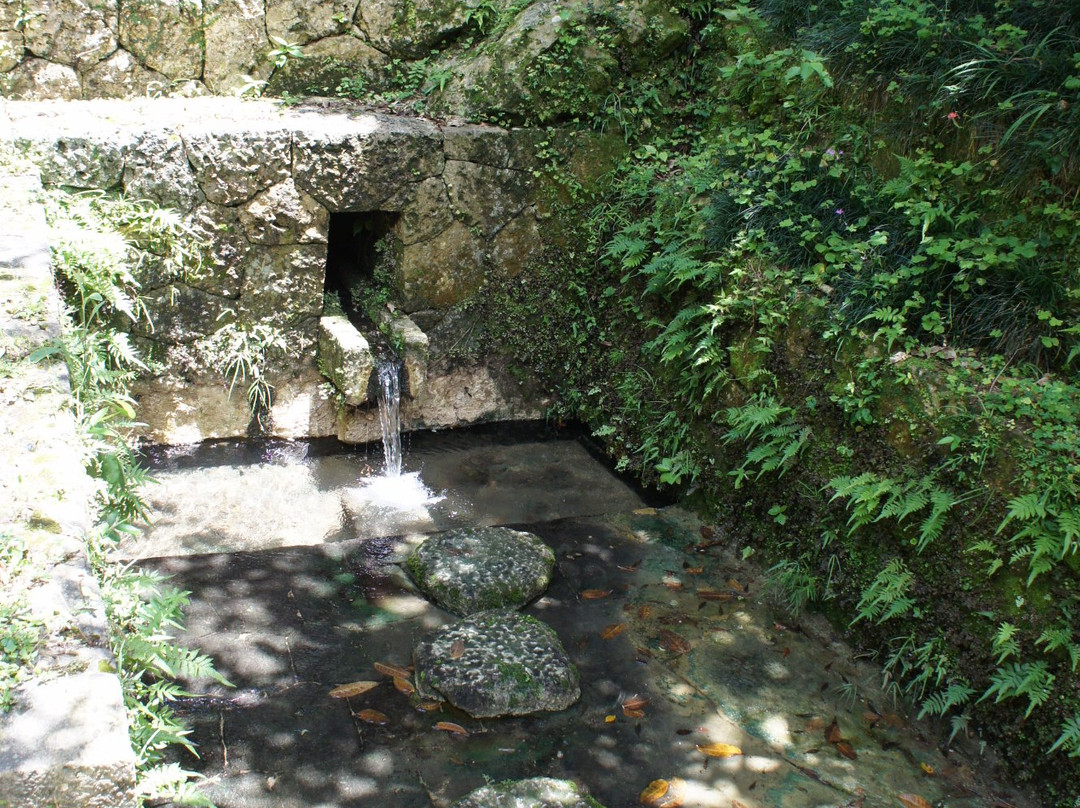 Morikawa Park-宜野湾市必去景点