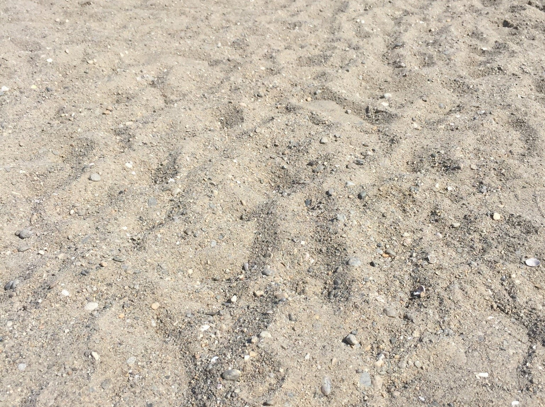 Jennings Beach-费尔菲尔德必去景点