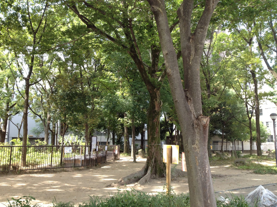 Awazaminami Park景点图片