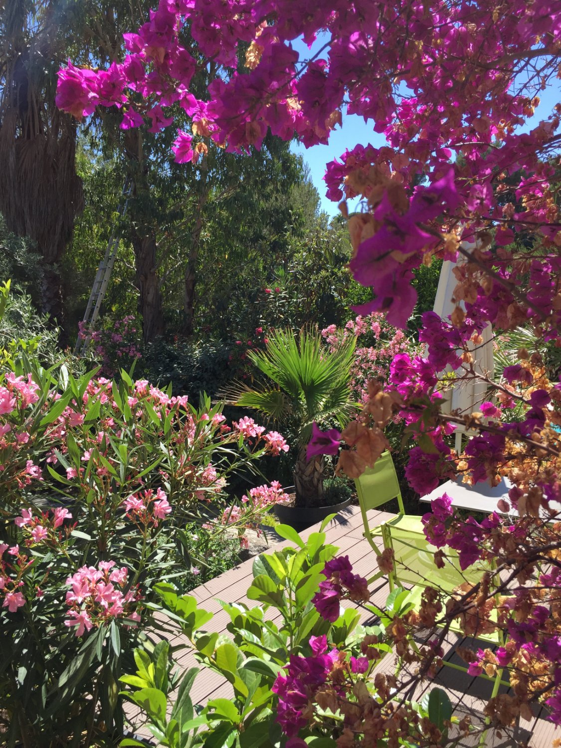 Villa Esguia-酒店景观