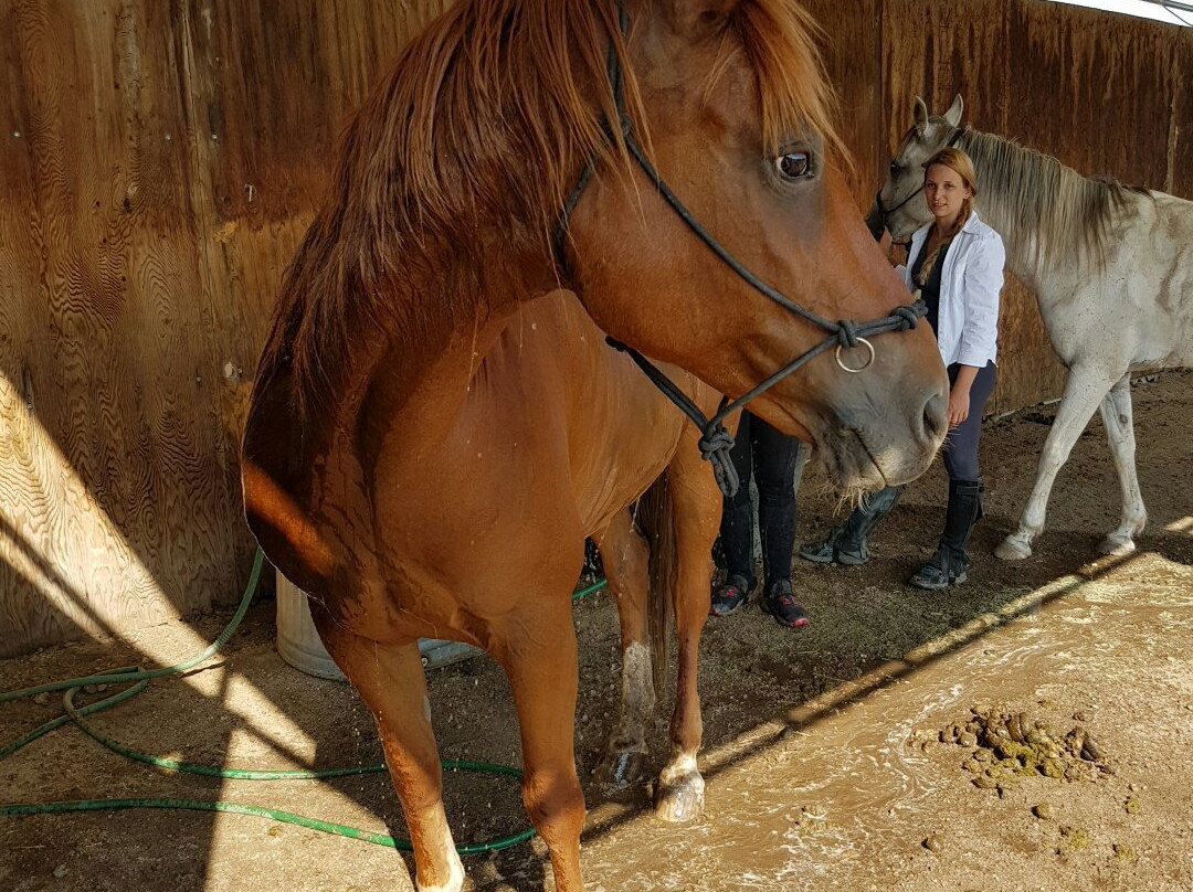Running Horse Ranch-Lake Hughes必去景点