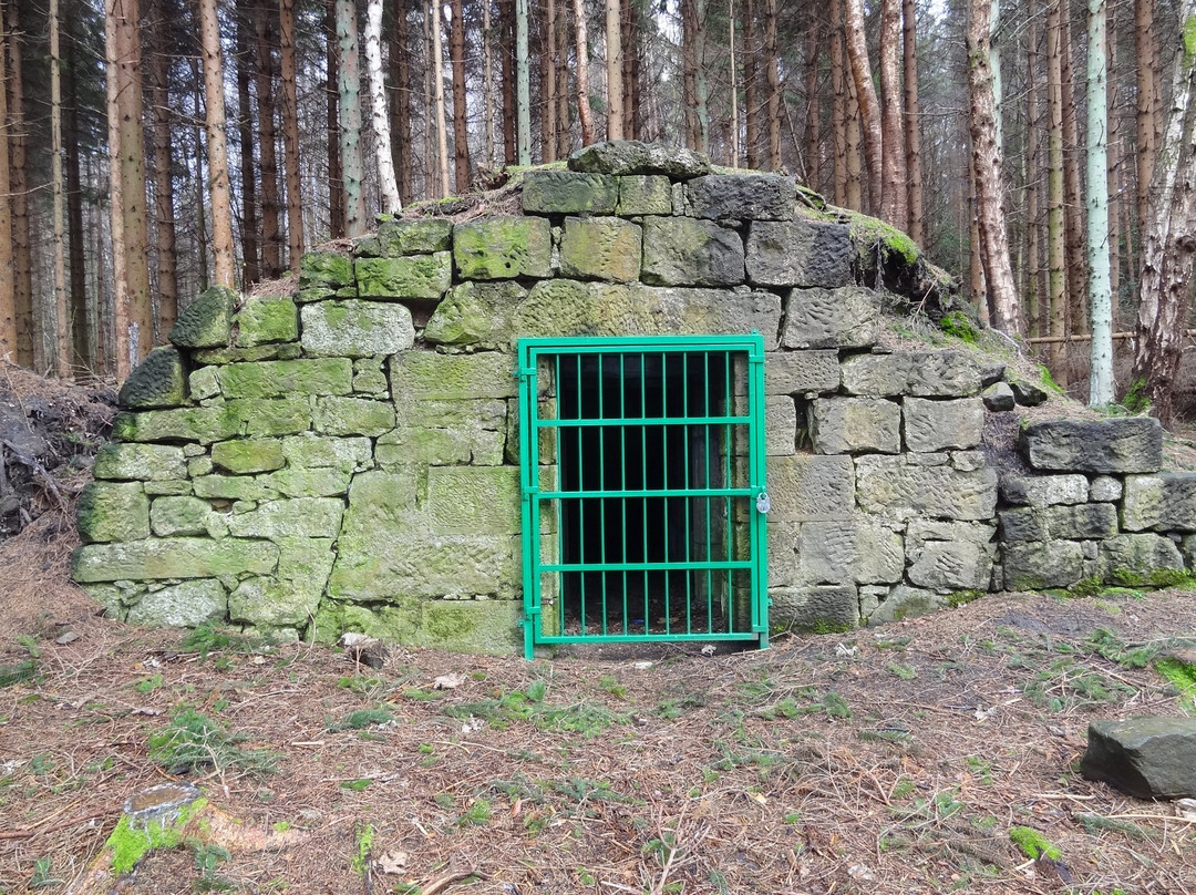 Devilla Forest-Kincardine必去景点